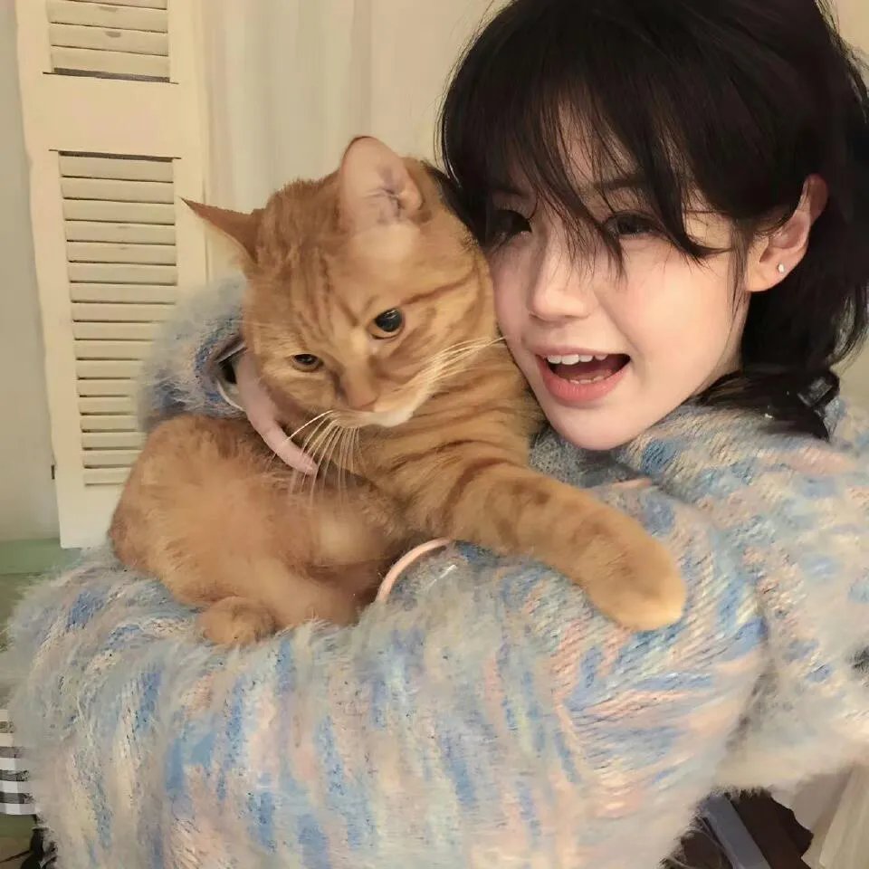 蝴蝶夫人的现代家庭